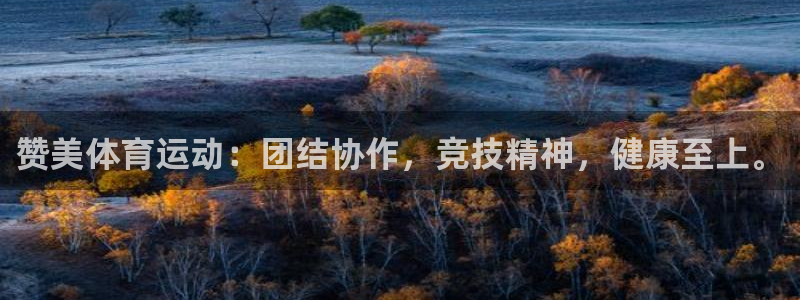 赞美体育运动：团结协作，竞技精神，健康至上。