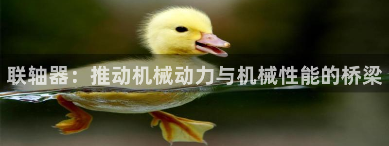 联轴器：推动机械动力与机械性能的桥梁