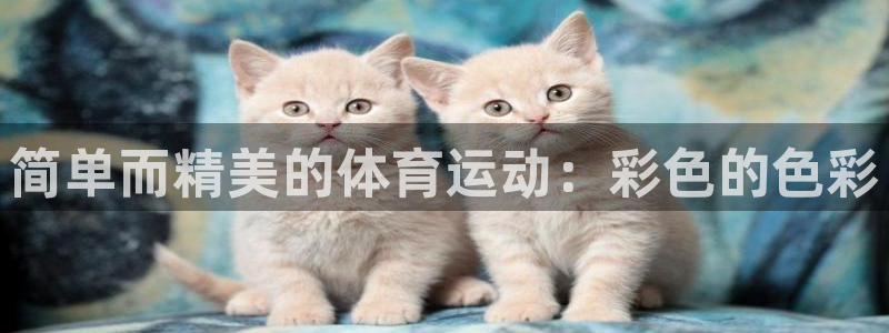 简单而精美的体育运动：彩色的色彩