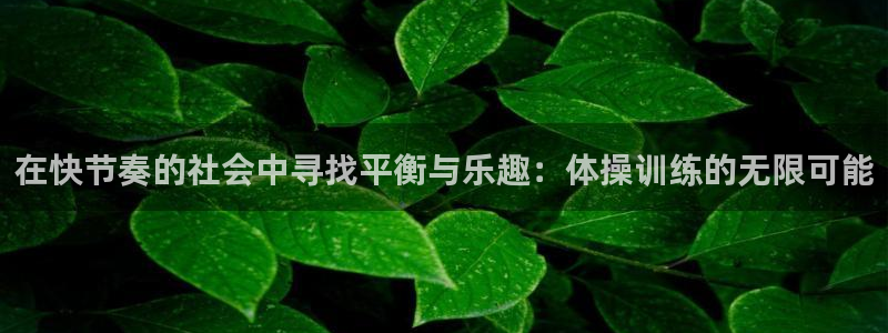 在快节奏的社会中寻找平衡与乐趣：体操训练的无限可能