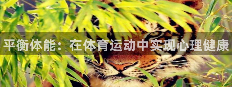 平衡体能：在体育运动中实现心理健康