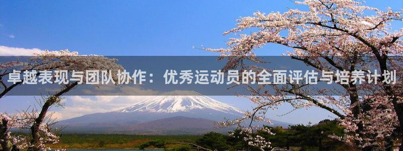 卓越表现与团队协作：优秀运动员的全面评估与培养计划