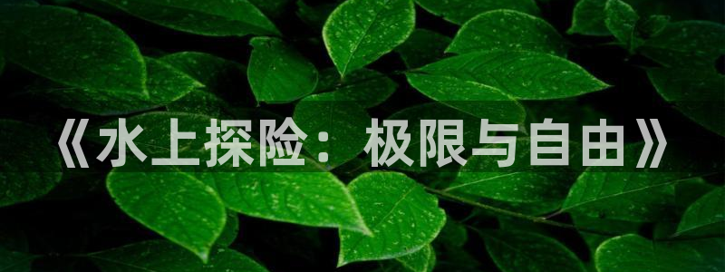 《水上探险：极限与自由》