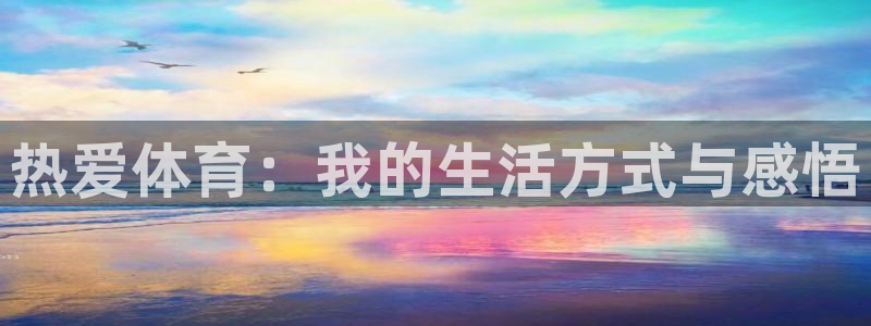 热爱体育：我的生活方式与感悟
