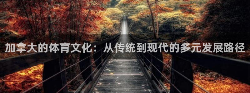 加拿大的体育文化：从传统到现代的多元发展路径