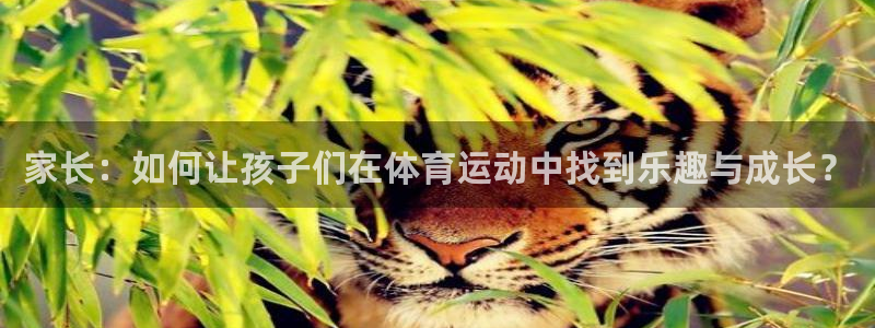 家长：如何让孩子们在体育运动中找到乐趣与成长？