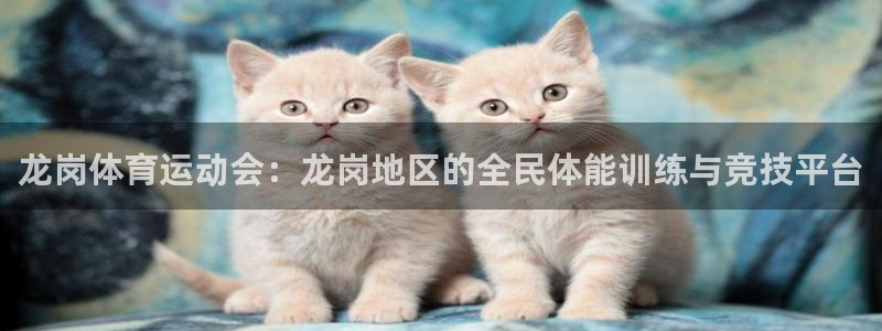 龙岗体育运动会：龙岗地区的全民体能训练与竞技平台