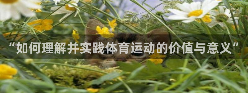 “如何理解并实践体育运动的价值与意义”