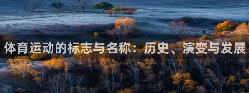 体育运动的标志与名称：历史、演变与发展