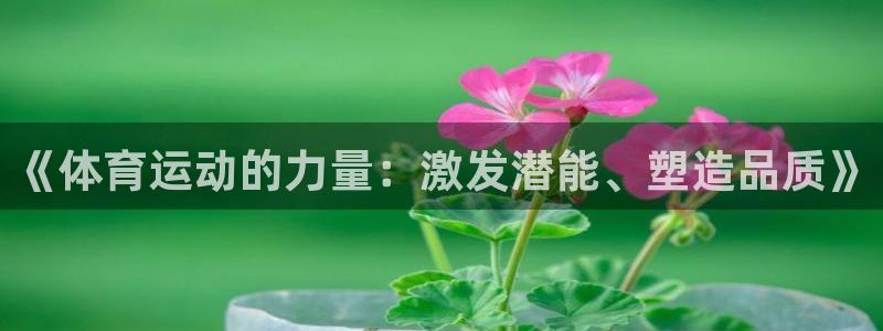 《体育运动的力量：激发潜能、塑造品质》